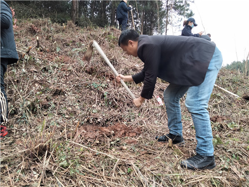 背簍人家植樹(shù)節(jié)