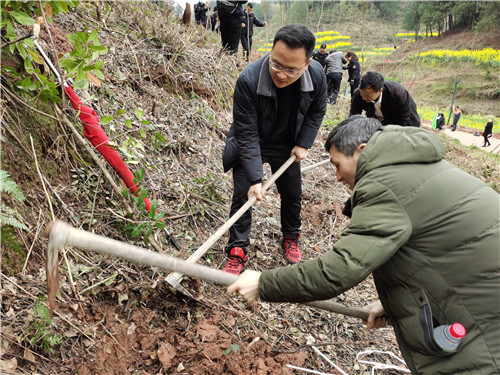 背簍人家植樹(shù)節(jié)