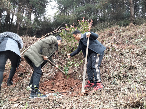 背簍人家植樹(shù)節(jié)